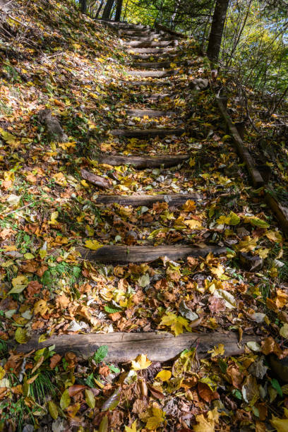 istock The autumn mountain trail 1017052196