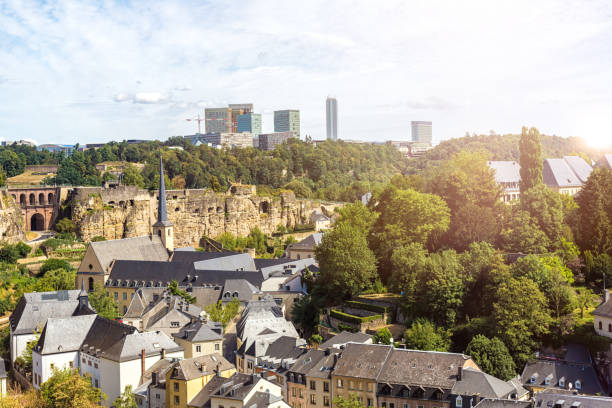 istock Luxembourg with business district in the background 1017054868