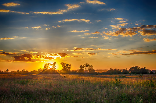 A bright green grassy field during a dramatic sunset.