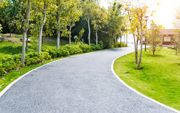 istock Asphalt footpath in a public park 1017065278
