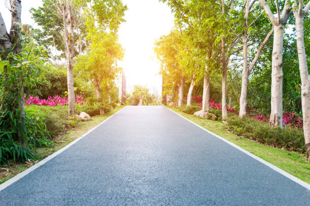 istock Asphalt footpath in a public park 1017068080