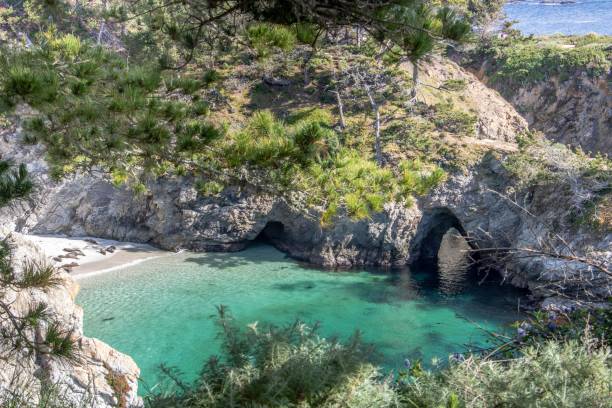 istock Point Lobos State Park in California 1017068182