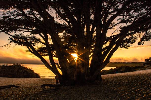 istock Sunset in Carmel, California 1017068214
