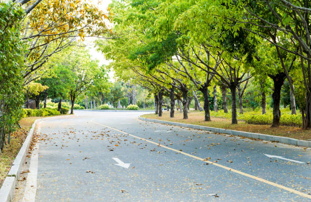 istock Asphalt highway with arrow sign 1017068548