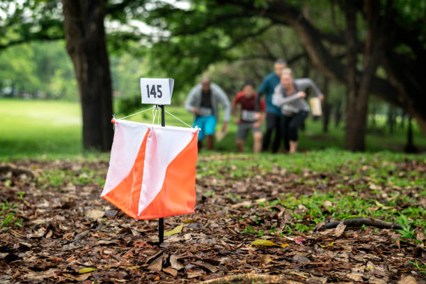 숲에서 야외 오리 엔 티어 링 상자 - orienteering 뉴스 사진 이미지