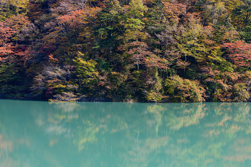 The autumn leaves of Shiobara dam