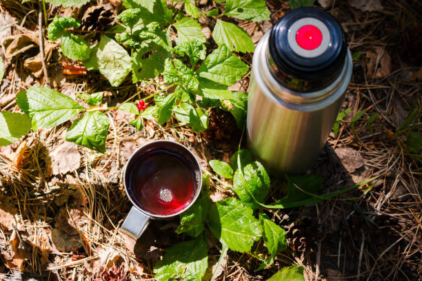 Black and silver thermos with two cups standing on a stump in a snowy forest in winter