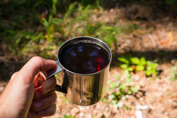 istock man tourist drinks tea in the forest 1017081308