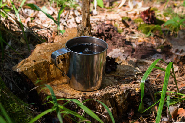istock a mug of tea on an old stump with moss and cones 1017082990
