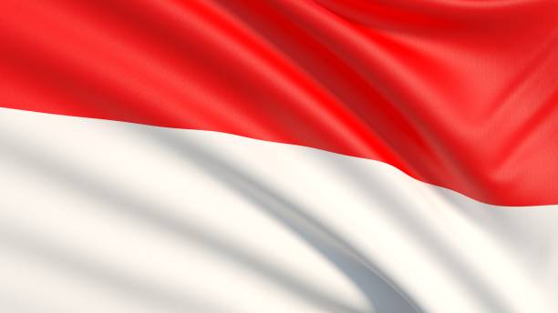 istock The Flag of Indonesia 1017089542