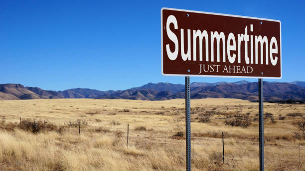 istock Summertime Just Ahead brown road sign 1017094450
