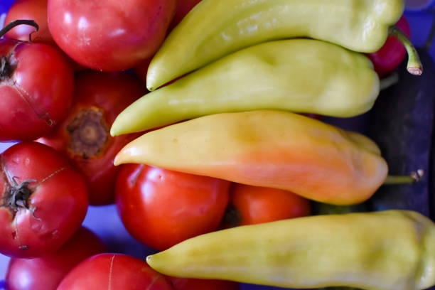 istock Heap of fresh vegetables 1017108714