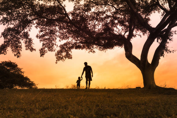 Father walking with is son at the park at sunset Father walking together with his little boy outdoors at sunset family holding hands stock pictures, royalty-free photos & images