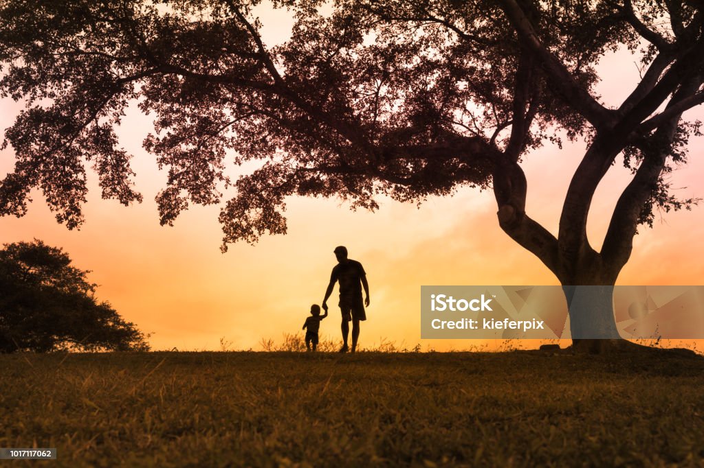 Pai andando com é filho no parque ao pôr do sol - Foto de stock de Pai royalty-free