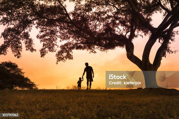 Foto de Pai Andando Com É Filho No Parque Ao Pôr Do Sol e mais fotos de stock de Pai - Pai, Criança, Filho