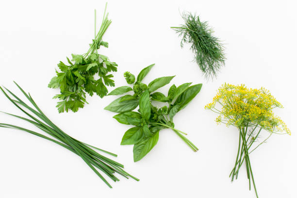 istock Bunch of Basil, parsley, dill and jusai on white 1017117090