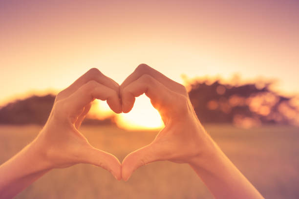 istock Hand shape heart against beautiful sunset. 1017117264