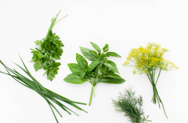 istock Bunch of Basil, parsley, dill and jusai on white 1017119722