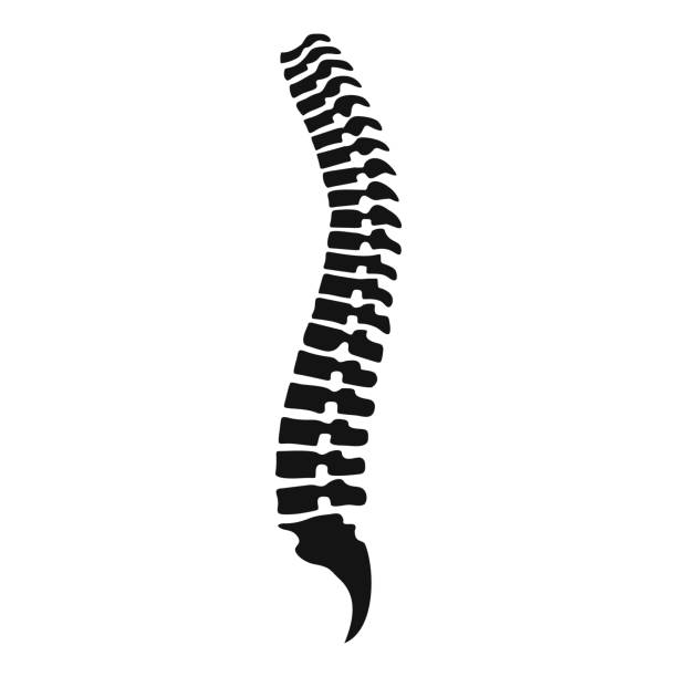 ilustraciones, imágenes clip art, dibujos animados e iconos de stock de icono de la columna vertebral, estilo simple - physical therapy human spine symbol medical exam