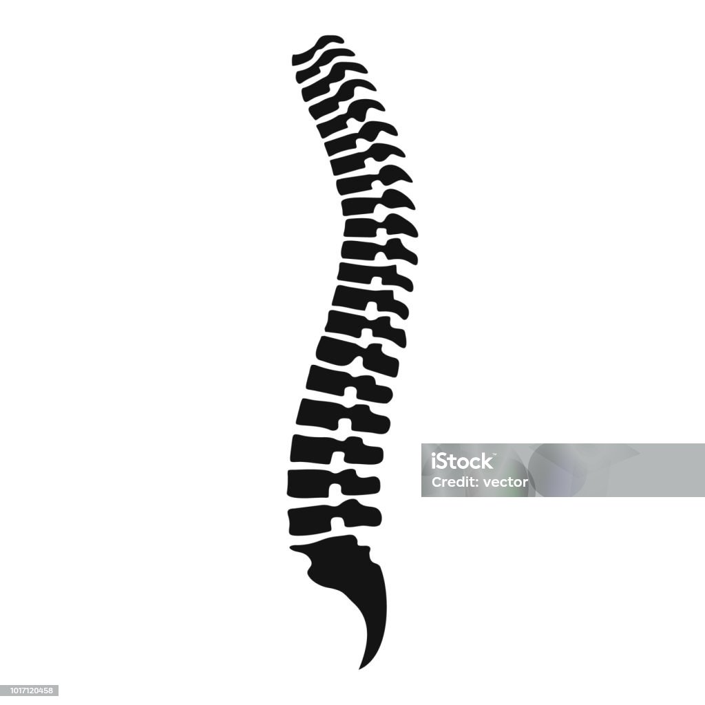 Spine icon, simple style Spine icon. Simple illustration of spine vector icon for web design isolated on white background Icon Symbol stock vector