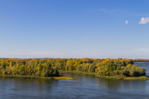 istock Colorful autumn trees on the riverfront. 1017125332