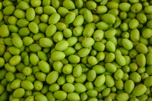 istock Green fruit sour taste high vitamin is Thai herbs. 1017127934