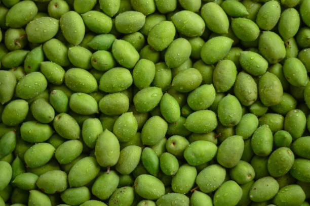 istock Green fruit sour taste high vitamin is Thai herbs. 1017127956