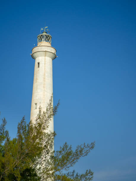 istock A white lighthouse rising out of tropical vegetation 1017128054