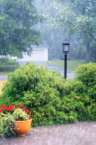 istock Drenching Streaming Rain Storm Water Splashing on Home Footpath 1017138482