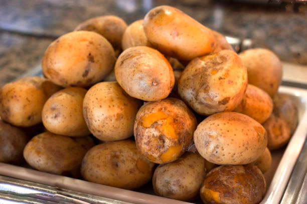 istock Baked potatoes in peel on a tray 1017150072