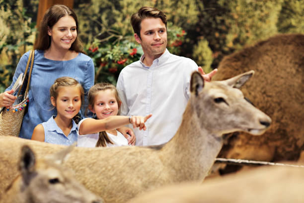 istock Joyful family in nature museum 1017150276