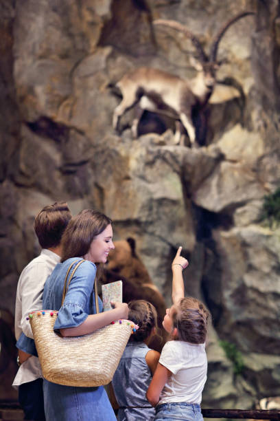 istock Joyful family in nature museum 1017150616