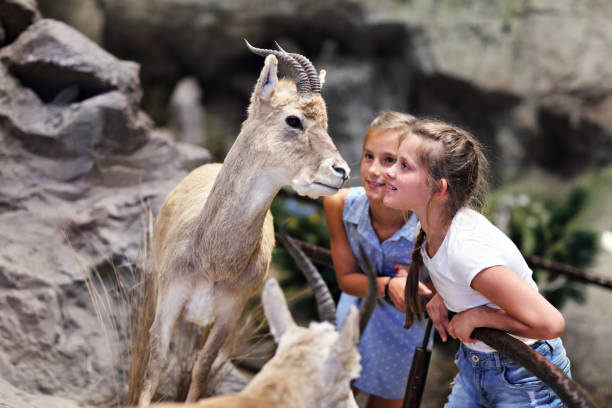 istock Joyful family in nature museum 1017150694