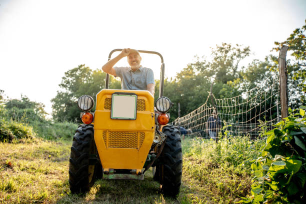 istock Mature Man Enjoying Driving a Tractor on a Field 1017157732