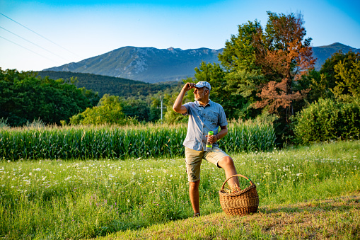 Mature Man Looking at the Fields After Harvesting.