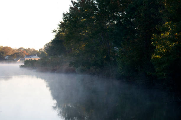istock Morning Fog at the Lake 1017183224