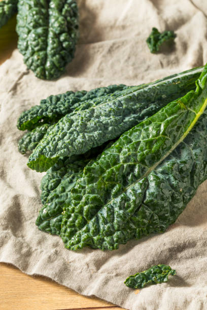 istock Raw Green Organic Lacinato Kale 1017187304