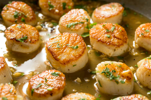 Panned Seared Scallops in Broth Panned Seared Scallops in Broth Ready to Eat bivalve photos stock pictures, royalty-free photos & images