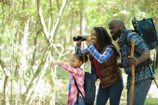 istock Family on summer or autumn vacation camping in forest. 1017193312