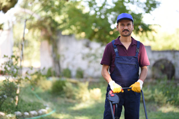 istock Gardener mowing the lawn 1017200704