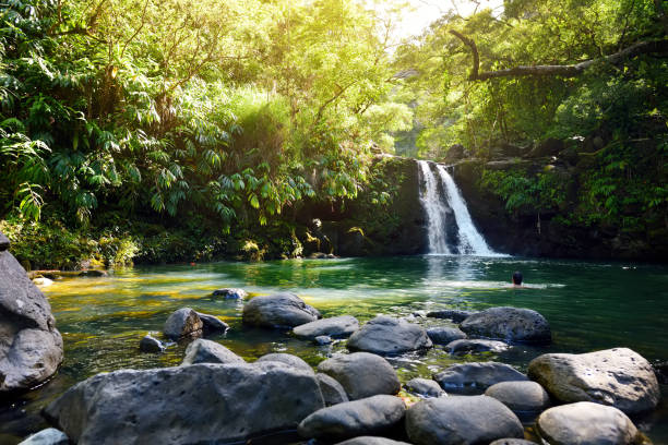 istock Tropical waterfall Lower Waikamoi Falls and a small crystal clear pond, inside of a dense tropical rainforest, off the Road to Hana Highway, Maui, Hawaii 1017212880