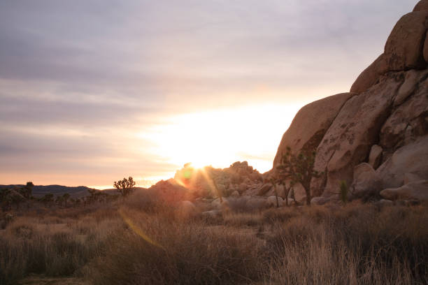 istock sunset behind boulders in desert 1017216688