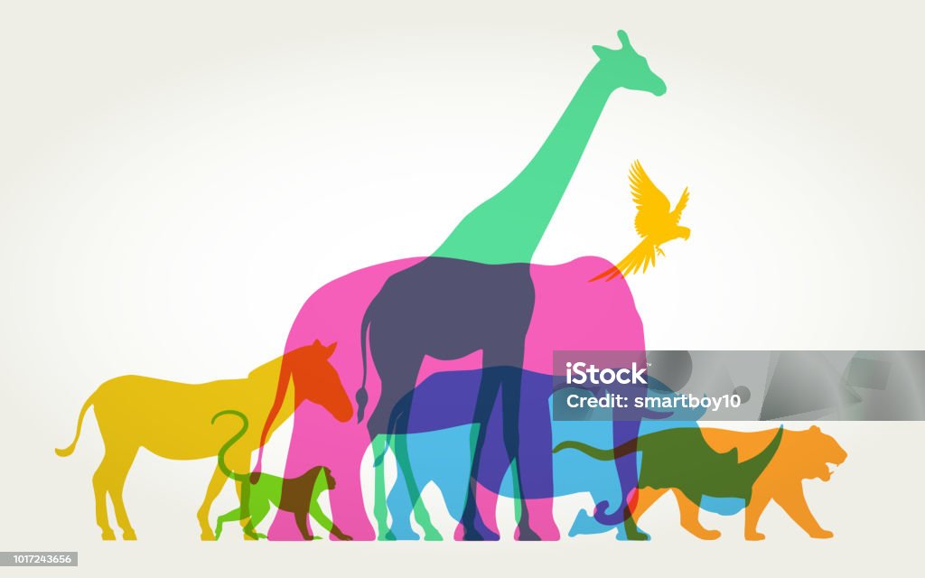 Group Of Wild Animals Stock Illustration - Download Image Now - Animal,  Zoo, Animal Wildlife - iStock