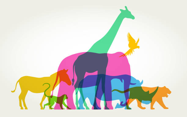 Group of Wild Animals Colourful silhouettes of wild animals elephant symbols stock illustrations