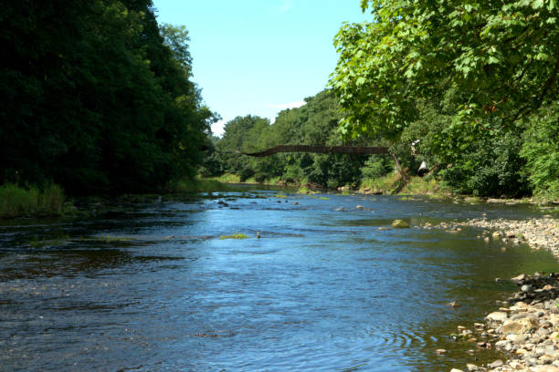 istock Landscape view of a river 1017243966