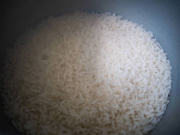 istock Tasty rice in cooking rice machine pot 1017244248