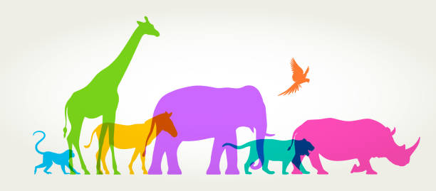 그룹 야생 동물 - zoo animal safari giraffe stock illustrations
