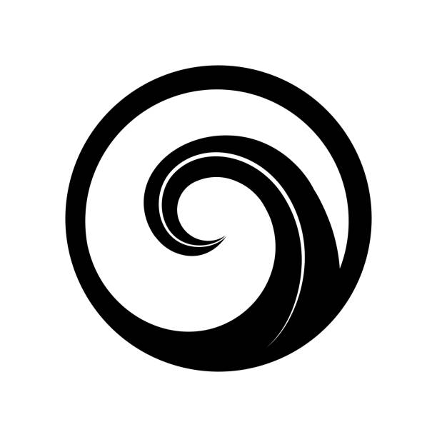 Protect. Maori symbol is a spiral shape based on silver fern frond fern silver new zealand plant stock illustrations