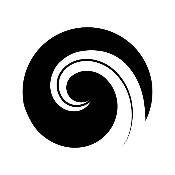 Protect. Maori symbol is a spiral shape based on silver fern frond new zealand silver fern stock illustrations