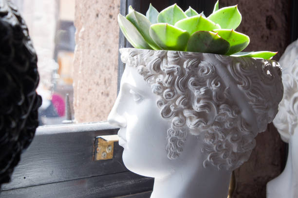 istock greek head vase in profile on window vintage style 1017258356